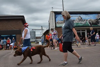 Residents walk their dogs through the parade route during the Fourth of July celebration in Brookings, South Dakota.